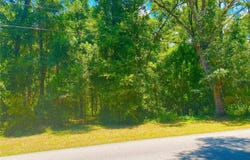 1191 E BISMARK STREET, HERNANDO, FL 34442