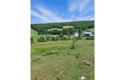 834 Crescent Valley Road, Bovina, NY 13740
