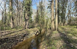 2445 Summit Drive, Henderson, KY 42420