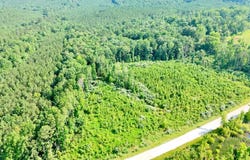0 Highway 13, Lynn, AL 35575