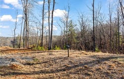 54 River Overlook Lane, Ellijay, GA 30540