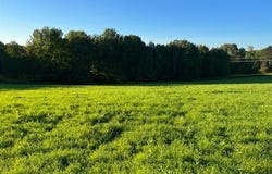 L32.08 Ouleout Road, Pittsfield, NY 13411
