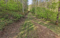 Flat Run Road, Ireland, WV 26376