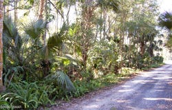 0 Palm Drive, New Smyrna Beach, FL 32168