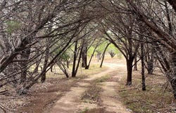 00 Welch CV, Harker Heights, TX 76548