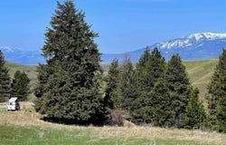 255 Ac Fall Creek Rd, Council, ID 83612