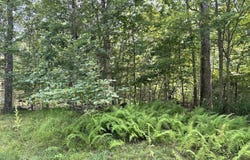 Timber Hill Rd 2B, Henryville, PA 18332