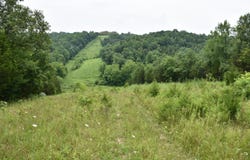 1540 Snag Creek Road, Foster, KY 41043