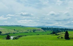 11900 Hays Rd, Spangle, WA 99031