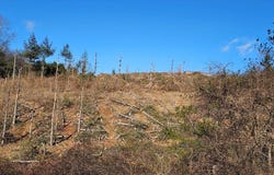 Excelsior School Rd lot: 0, Laurel Fork, VA 24352