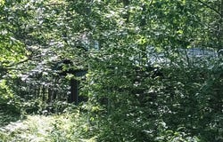 25702 M-64, Ontonagon, MI 49953