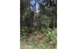 102 CAROLINE Boulevard, Georgetown, FL 32139