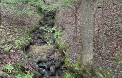 Lot 127 Water Oak Drive, Ellijay, GA 30540