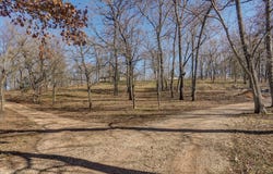 2898 N Farm Road 17, Ash Grove, MO 65604