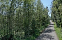 0 NE Elliott RD, Yacolt, WA 98675