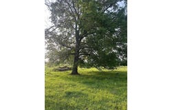 000 Fm 910, Clarksville, TX 75426