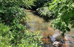 Lot 195 Shenendoa Dr., Ellijay, GA 30540