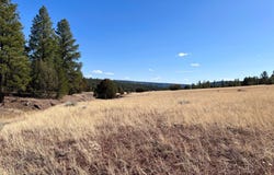 Juniper Drive lot: 9, Ramah, NM 87321