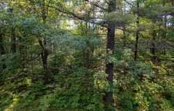 DADS LAKE RD lot: 2, Eagle River, WI 54521