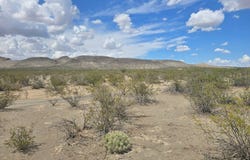 1101 Star Morninglight Rd, Terlingua, TX 79852