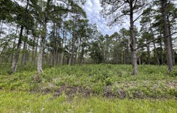 811 Brittany Road, Southport, NC 28461