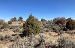 Tierra Grande Lots 24,52,53, Ensenada, NM 87575