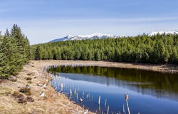 746 Evergreen Drive, Eureka, MT 59917