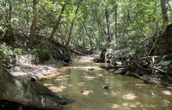 0 Cottonhill Road, Eufaula, AL 36027