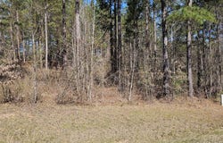 107 LOBLOLLY Lane, Hephzibah, GA 30815