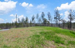 Lt 195 Blalock Mountain Rd, Talking Rock, GA 30175