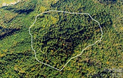 Big Laurel Road, Marshall, NC 28753