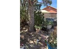 3260 CATHERINE ANN Drive, El Paso, TX 79936
