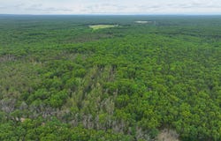 7376 W 7 Mile Road, Irons, MI 49644