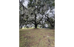 Oak Bay Dr. lot: 50, Georgetown, SC 29440