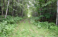 TBD- 40ac Mud Lake, Lake Linden, MI 49945