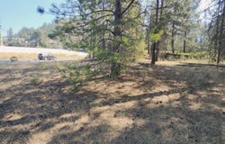 XXX HWY 395, KETTLE FALLS, WA 99141