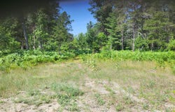 Norseman Drive lot: 8 & 30, Grayling, MI 49738