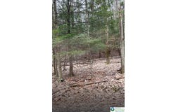 153 Pine Tree Drive, CRESCO, PA 18326