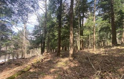 Lot A Piermott Lane, Hartwick, NY 13348