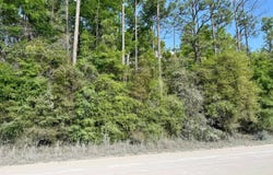 OBrien, FL 32071