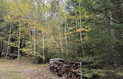 P/O M6L22 Webb Cove Road, Enfield, ME 04493