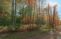 TBD Lot #4 Tressel Trail lot: #4, Iron River, WI 54847