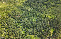 NNA Coldwater, Tensed, ID 83870
