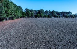 Lot 2 Bullard Pit Circle, Autryville, NC 28318