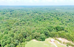 0 Highway 195, Double Springs, AL 35503