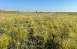 E County Road 37, Mooreland, OK 73852