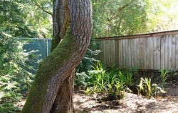 19 SAND DOLLAR DR, Florence, OR 97439