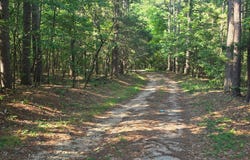 1640 County Road 203, Alton, MO 65606