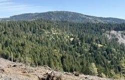 12350 Forest Service Rt 1 Road, Kneeland, CA 95549