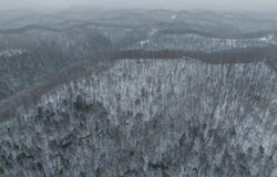 3592 Perry Ridge Rd, Dunlow, WV 25511